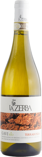 Gavi 'Terrarossa' 2024