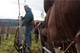 Domaine Charles Audoin