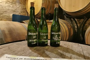 Domaine du Closel