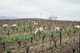 Le Clos des Grives