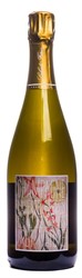 Champagne Brut Nature Blanc de Blancs