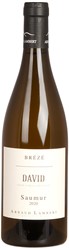 Saumur 'David' 2020