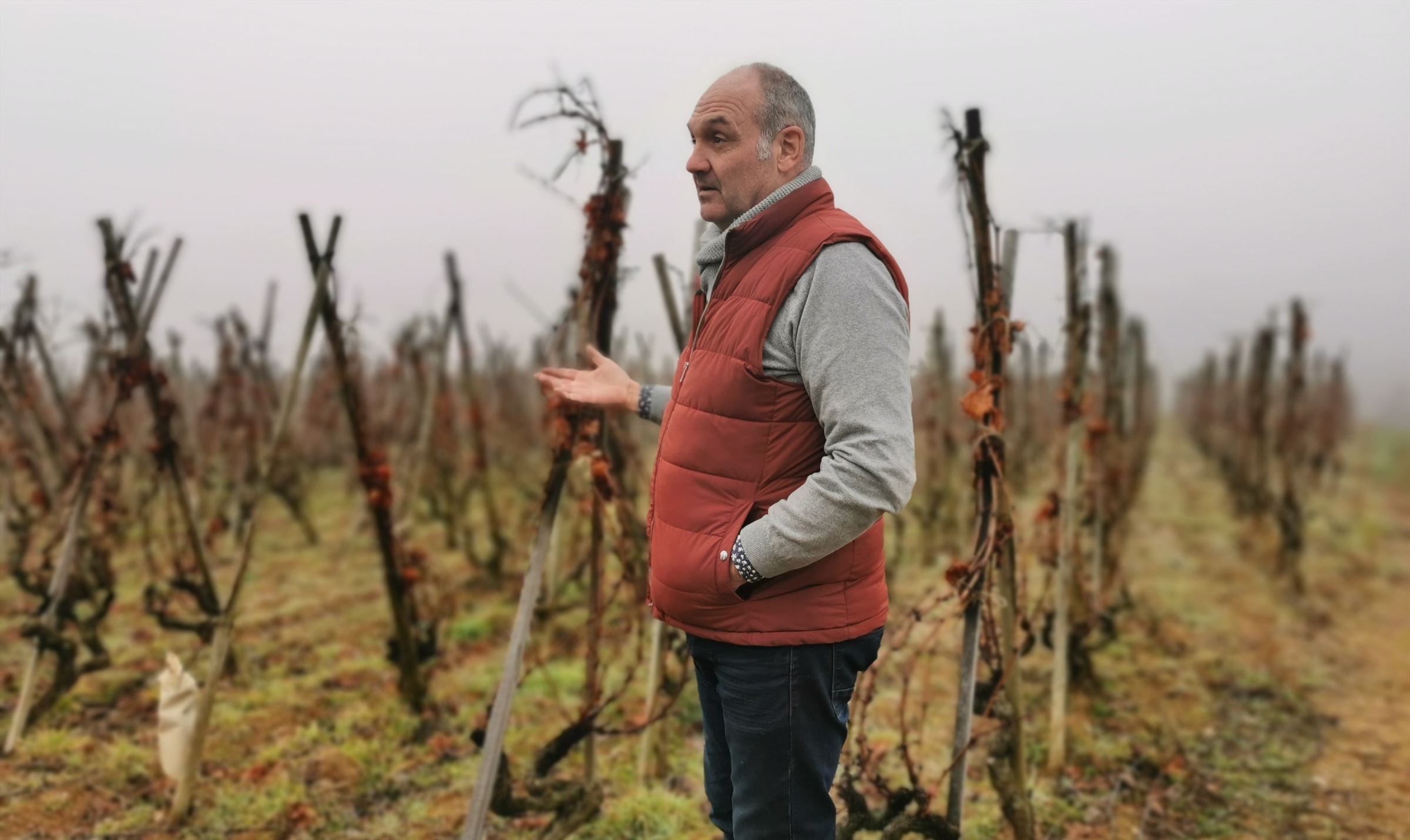 Merk - Domaine Christophe Pichon