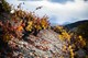 Bodegas Valdesil