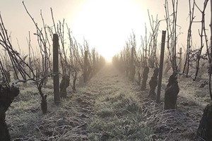 Domaine André Vatan