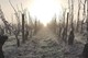 Domaine André Vatan